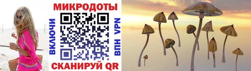 Купить закладки  Среднеколымск  Псилоцибиновые грибы прущие грибы 